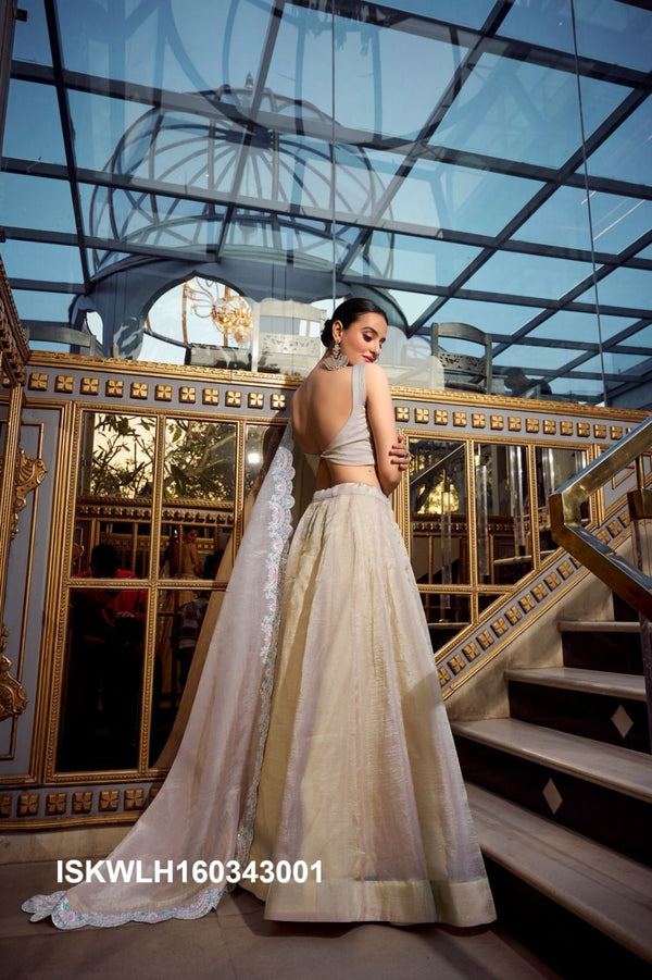 Embroidered Organza Lehenga With Blouse And Dupatta-ISKWLH160343001
