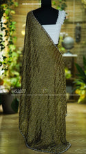 Embroidered Tissue Chiffon Saree With Blouse-ISKWSR2603HS3827