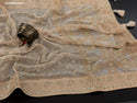 Lucknawi Chikankari Georgette Saree With Blouse-ISKWSR020426052