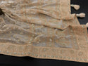 Lucknawi Chikankari Georgette Saree With Blouse-ISKWSR020426052