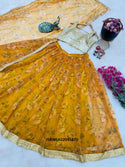 Printed Tissue Net Lehenga With Silk Blouse And Tissue Net Dupatta-ISKWLH22045870